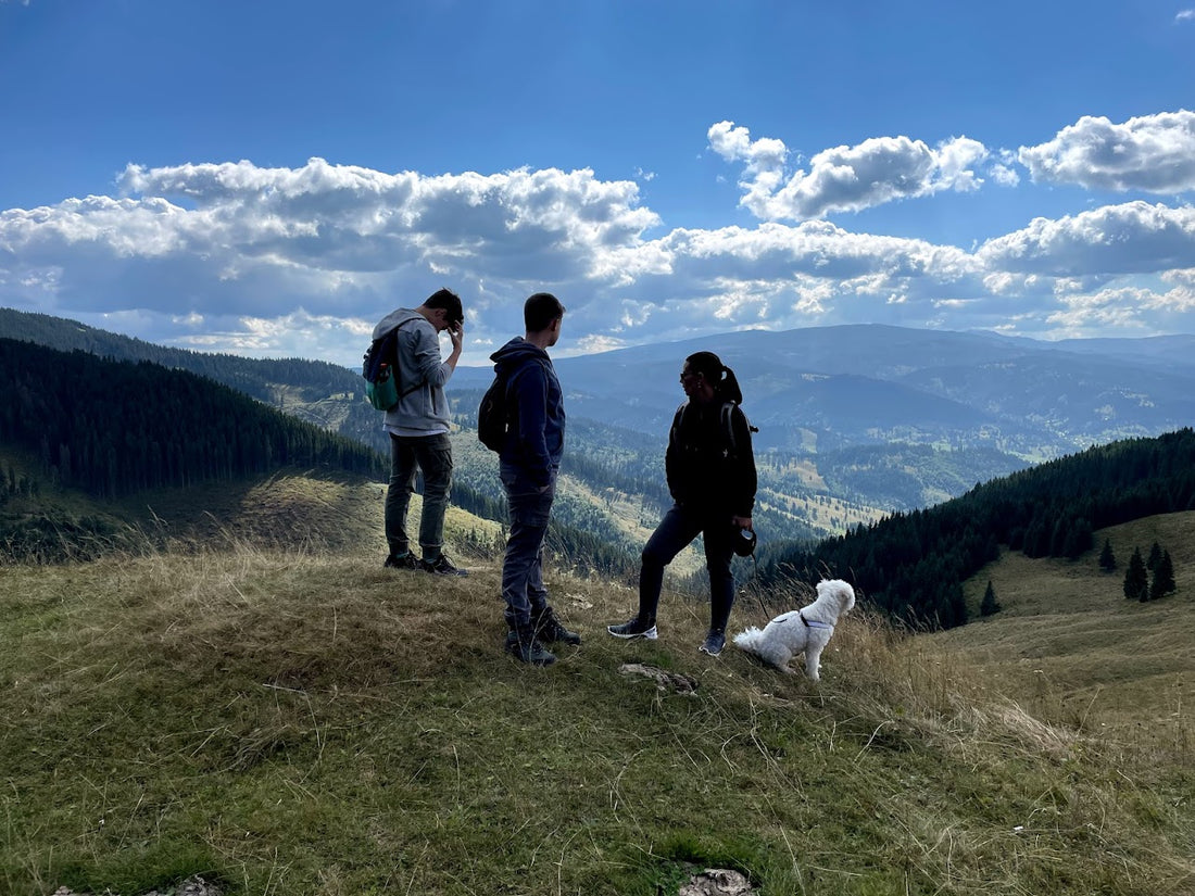 Descoperă frumusețea naturii: Drumeții cu copii